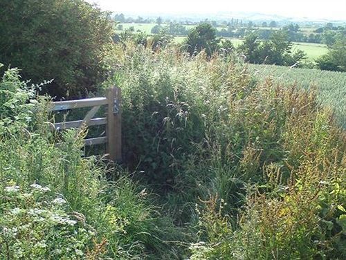 The Steppes Holiday Cottages Hereford Extérieur photo